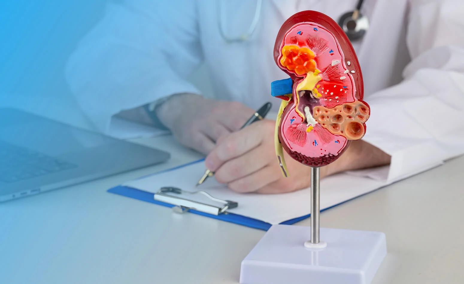 Roosevelt Cardiovascular Diagnostic